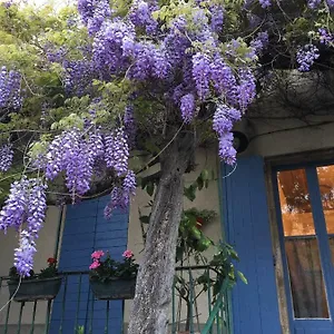 Le Jardin Des Glycines Mane (Alpes-de-Haute-Provence)